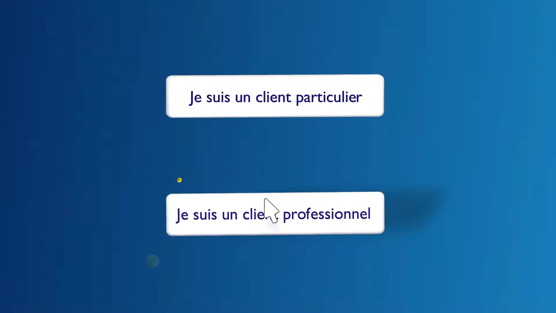 Banque Populaire Auvergne Rhône Alpes